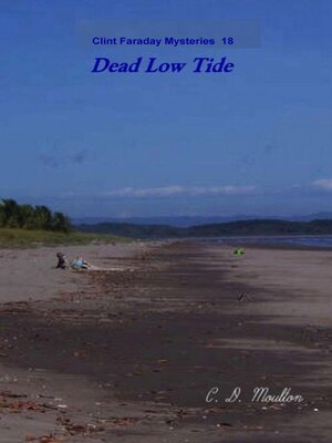 cover image of Dead Low Tide